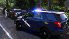 Traffic Stop FPIU