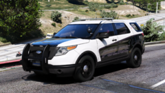 2013 FPIU