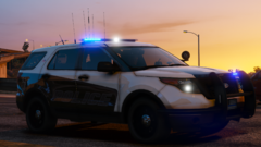 2013 FPIU
