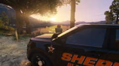 Enjoying the sunrise