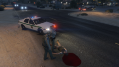 Snímka obrazovky (84).png