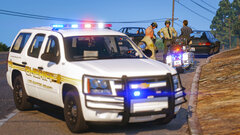 LSSD - Traffic Stop