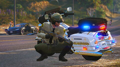 LSSD - It's not much cover, but we make do