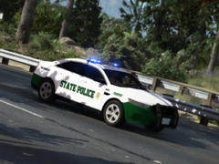 Do you really expect a trooper car to look nice?