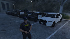 OPP Vehicles and Ped.