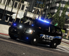 LSPD (3).png