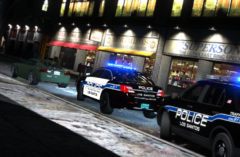 LSPD (13).png