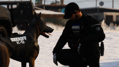 Grand Theft Auto V Screenshot 2019.12.17 - 20.31.01.24.png