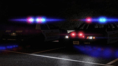 2010 CVPI Lighting Demo