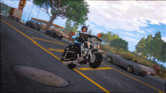 SASP - Harley Wheelie