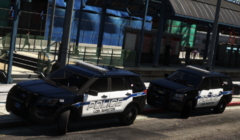 LSPD (9).png