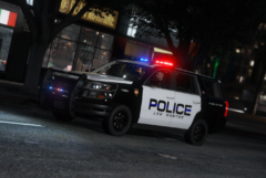 LSPD D (4).png