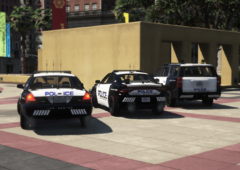 LSPD D (10).png