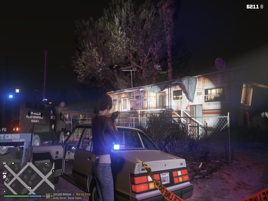 Riot vehicles non-els  and  Unmarked Ford LTD LX 1.2.1