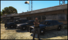 Sandy Shore's Finest