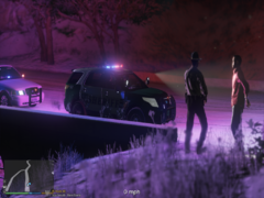 Grand Theft Auto V 21_01_2020 23_09_48.png