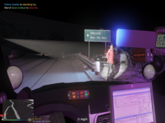 Grand Theft Auto V 21_01_2020 23_08_21.png