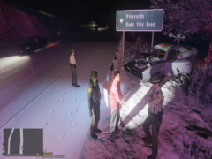 Grand Theft Auto V 21_01_2020 23_11_45.png