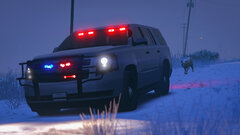 SASP - I'm Being Followed