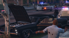 Traffic stop gone bad