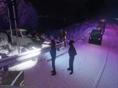 Grand Theft Auto V 21_01_2020 23_10_58.png