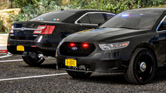 Grand_Theft_Auto_V_1_29_2020_7_44_23_PM.png