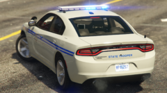 2018 Dodge Charger SCHP Rear