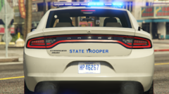 2018 Dodge Charger SCHP Rear