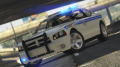 2010 Dodge Charger SCHP Front