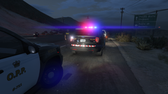 OPP Traffic Stop Backup