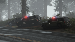 Grand Theft Auto V Screenshot 2020.02.20 - 02.19.29.98.png