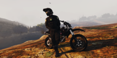Offroad Unit 1.png