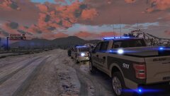 County Sheriff Backing up Deputy