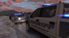 Train rolling through traffic stop