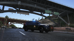 Grand Theft Auto V Screenshot 2020.01.31 - 21.13.58.85.png