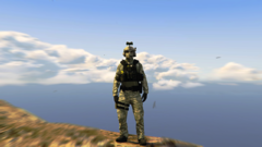 POLICE SPECIAL ENFORCEMENT UNIT2