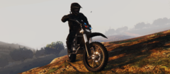Offroad Unit 2.png