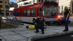 Unconscious Person at Bus Station