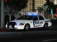 Fort Mill PD (Now Lore)