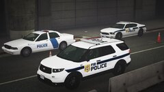 FIBP and SEP vehicles