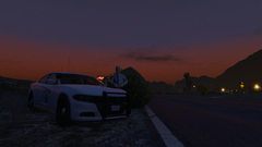 CHP Charger Polabear