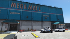 Mega Mall Shoplifter
