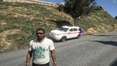 ems