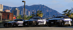 LSPD Beaumont, Texas