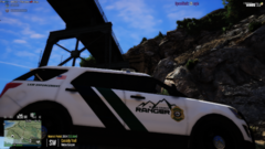 Park Ranger Skin OCRP cars