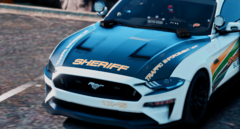 tec hood mustang.png