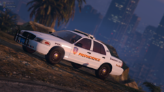 Grand Theft Auto V 4_16_2020 1_35_59 AM.png