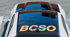 Roof BCSO.png