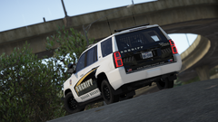 Grand Theft Auto V Screenshot 2020.04.04 - 03.00.32.25.png