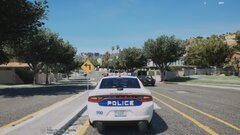 Rockford Hills Police 2016 Charger (Oak Park, IL)